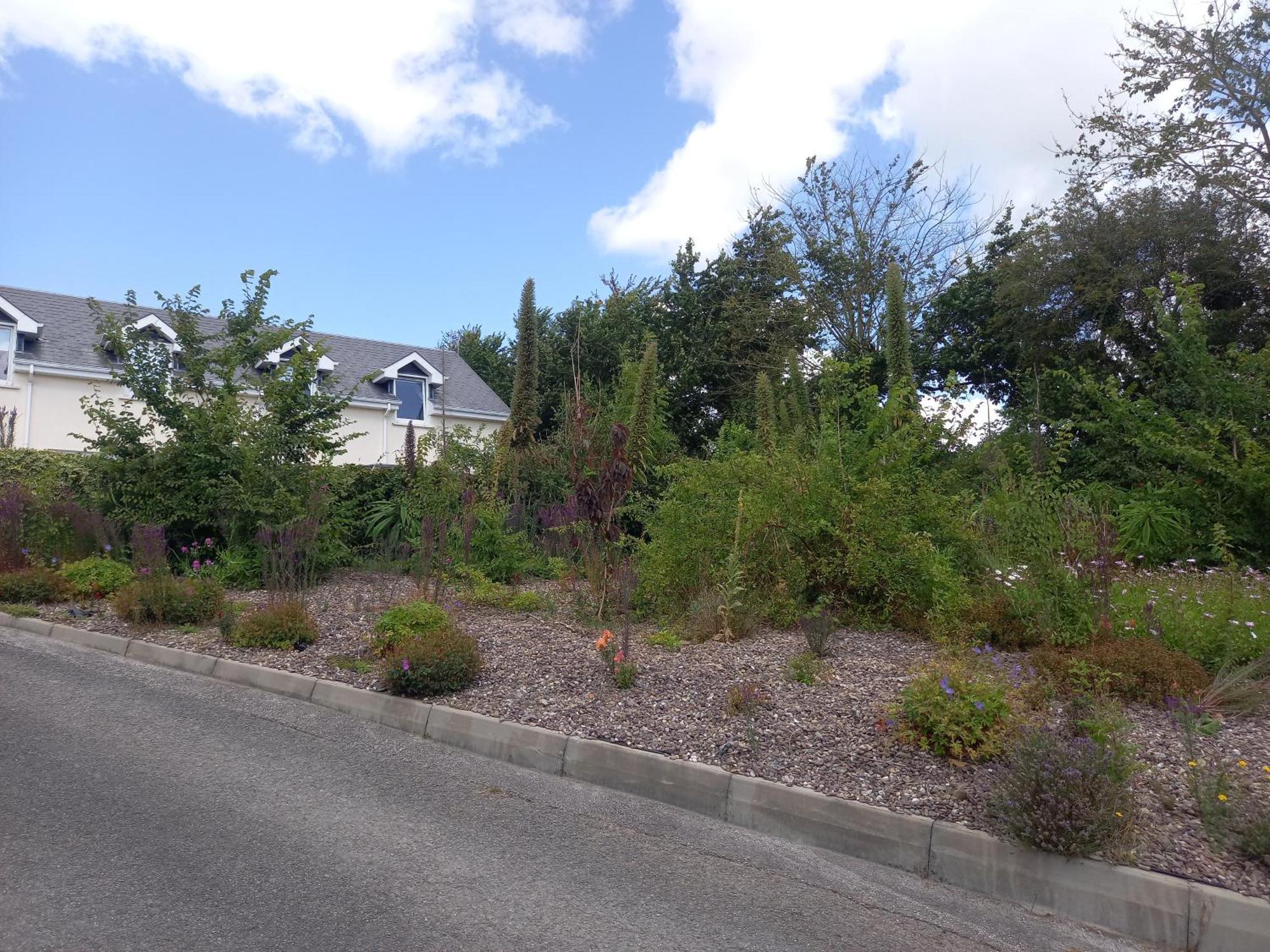 Teach Na Coille B&B Midleton Eksteriør billede