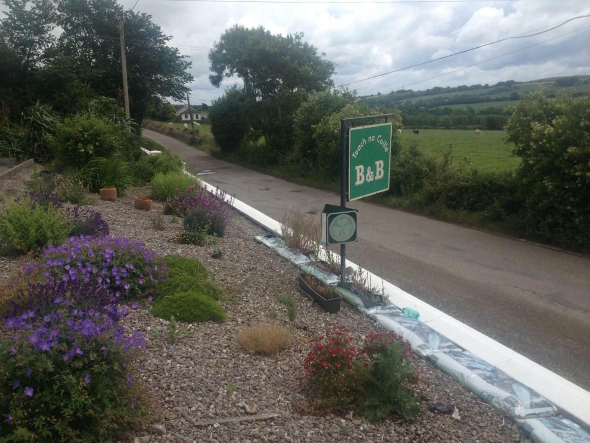 Teach Na Coille B&B Midleton Eksteriør billede