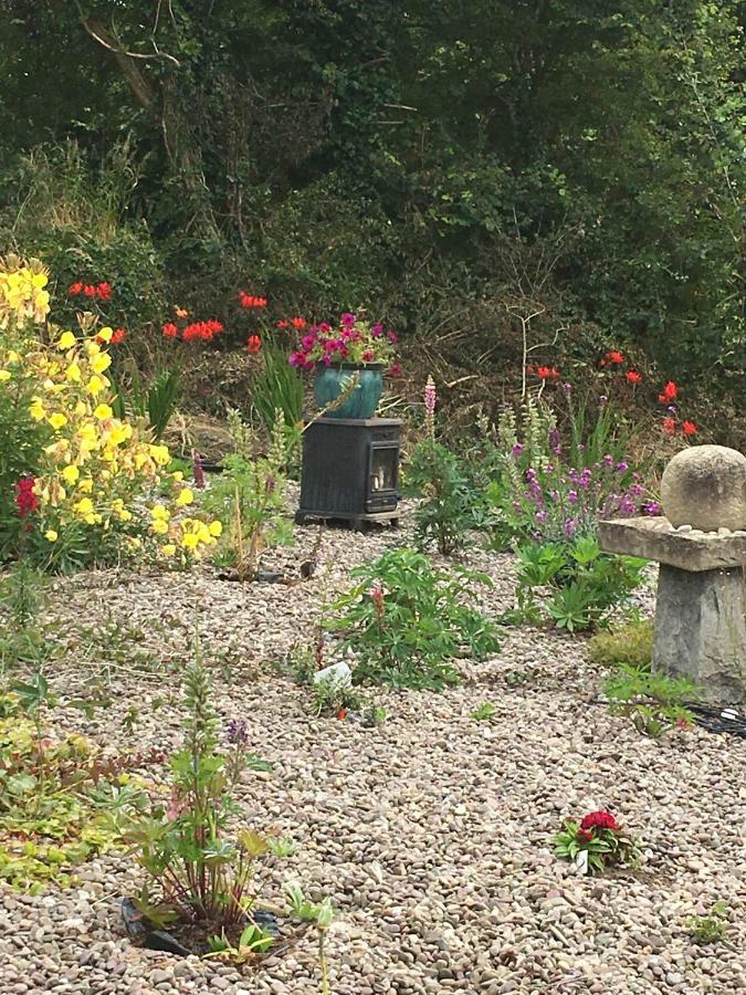 Teach Na Coille B&B Midleton Eksteriør billede