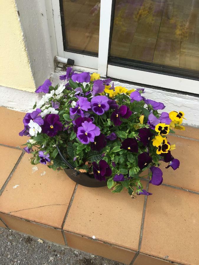 Teach Na Coille B&B Midleton Eksteriør billede